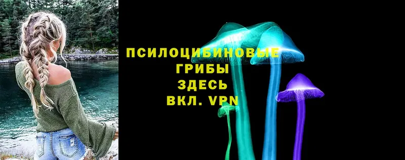 Галлюциногенные грибы Psilocybe  ссылка на мегу   Мытищи 